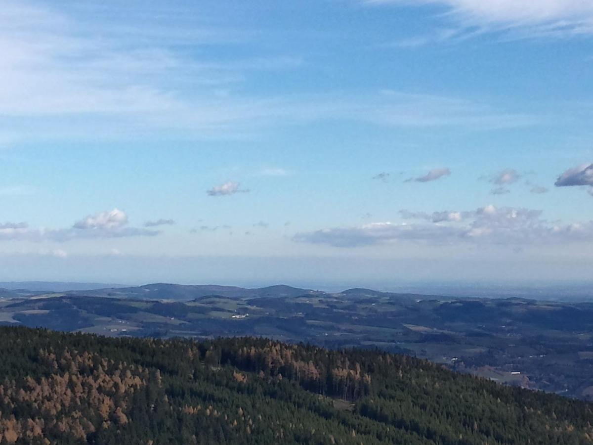 Wald-Panorama-Zimmer Mönichkirchen Exterior foto