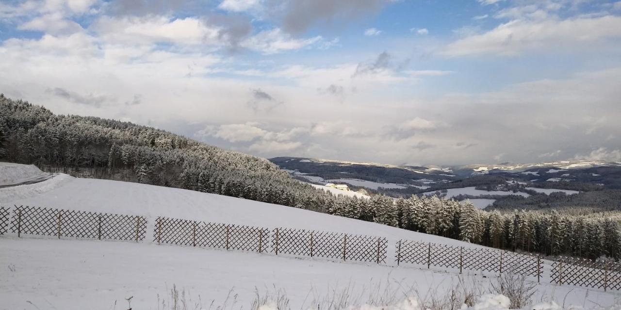 Wald-Panorama-Zimmer Mönichkirchen Exterior foto