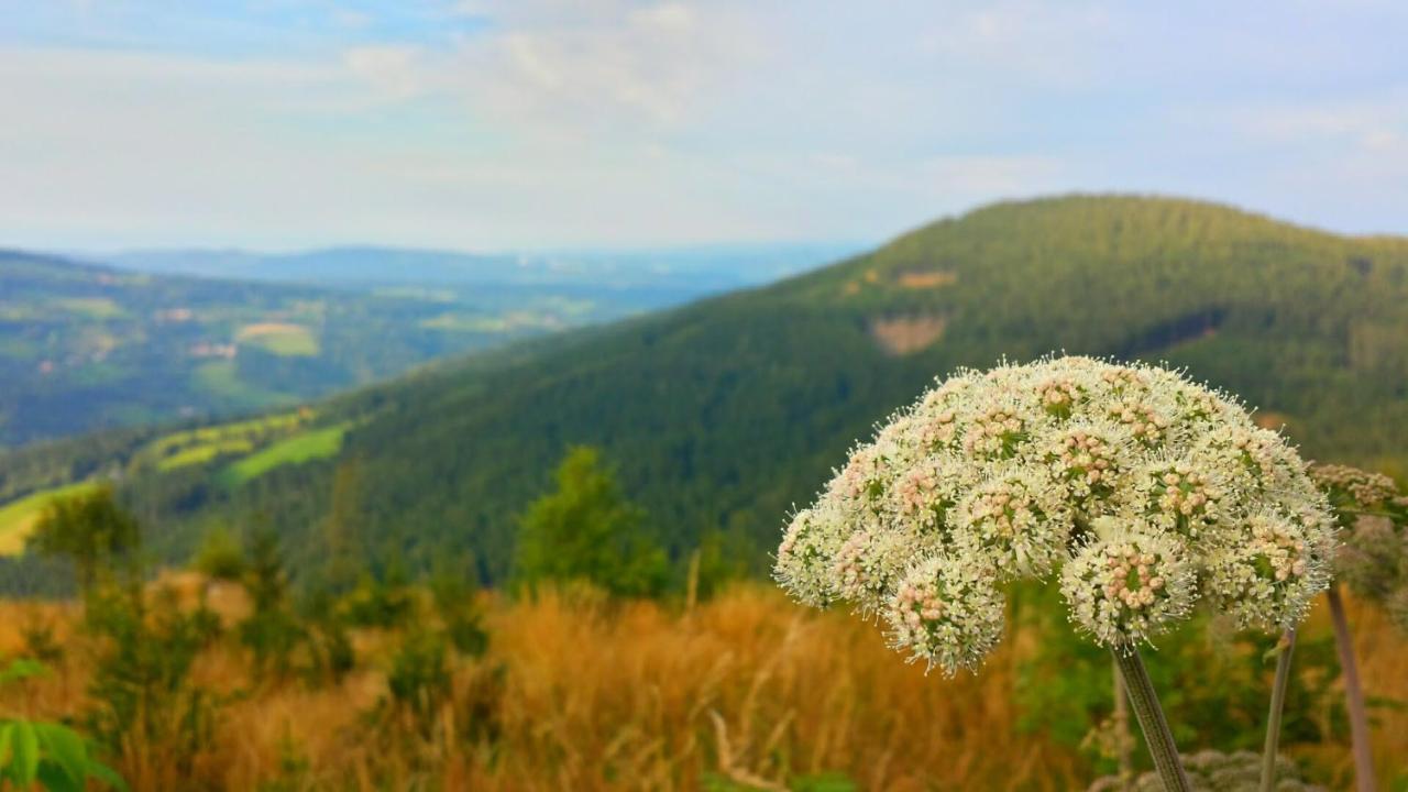 Wald-Panorama-Zimmer Mönichkirchen Exterior foto